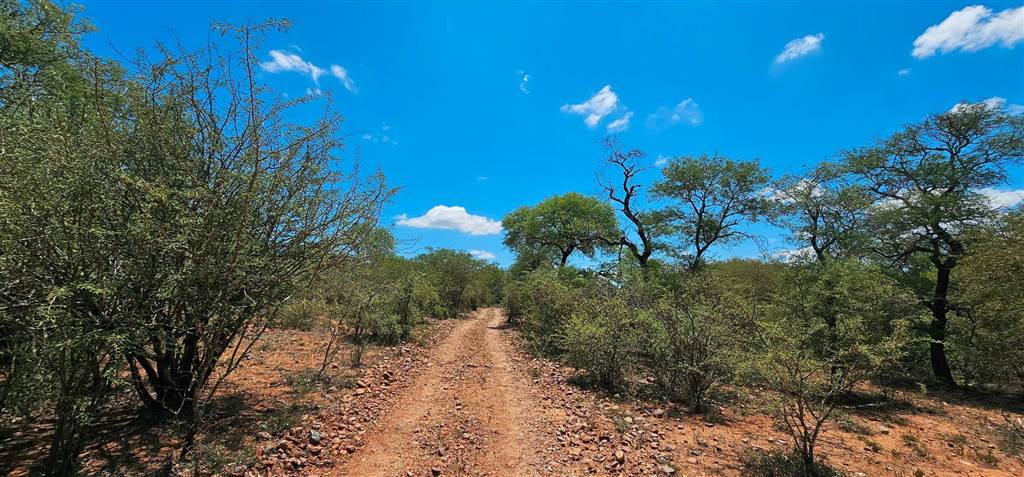 3737 m² Land available in Blyde Wildlife Estate photo number 5