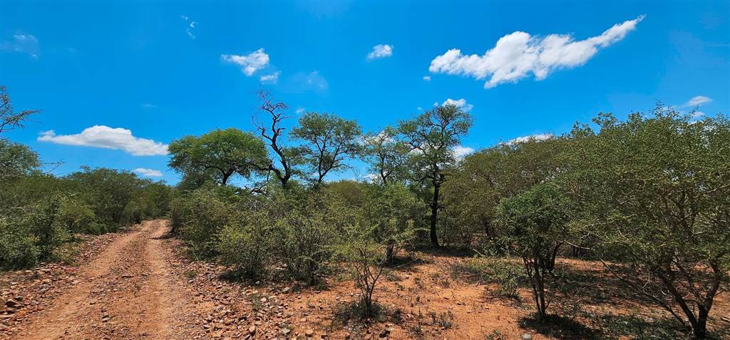 3737 m² Land available in Blyde Wildlife Estate photo number 4