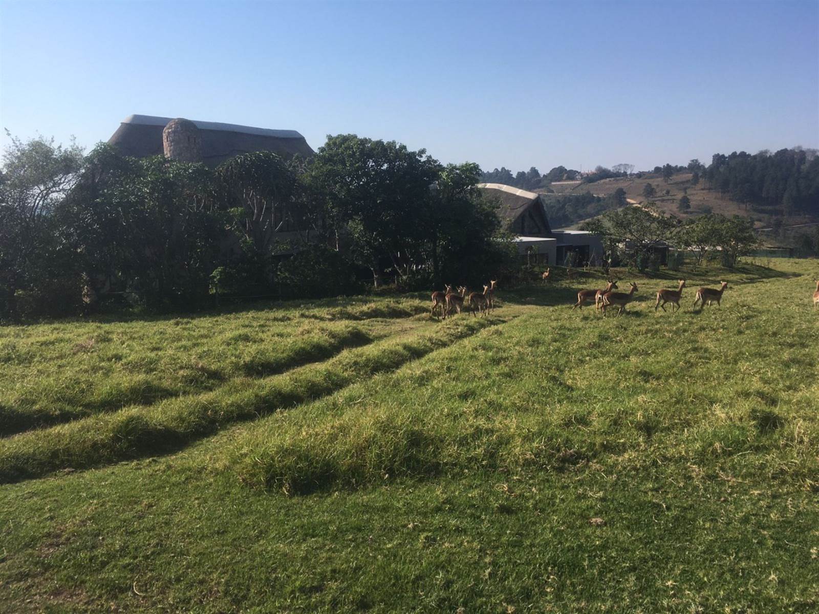 1908 m² Land available in Phezulu photo number 20