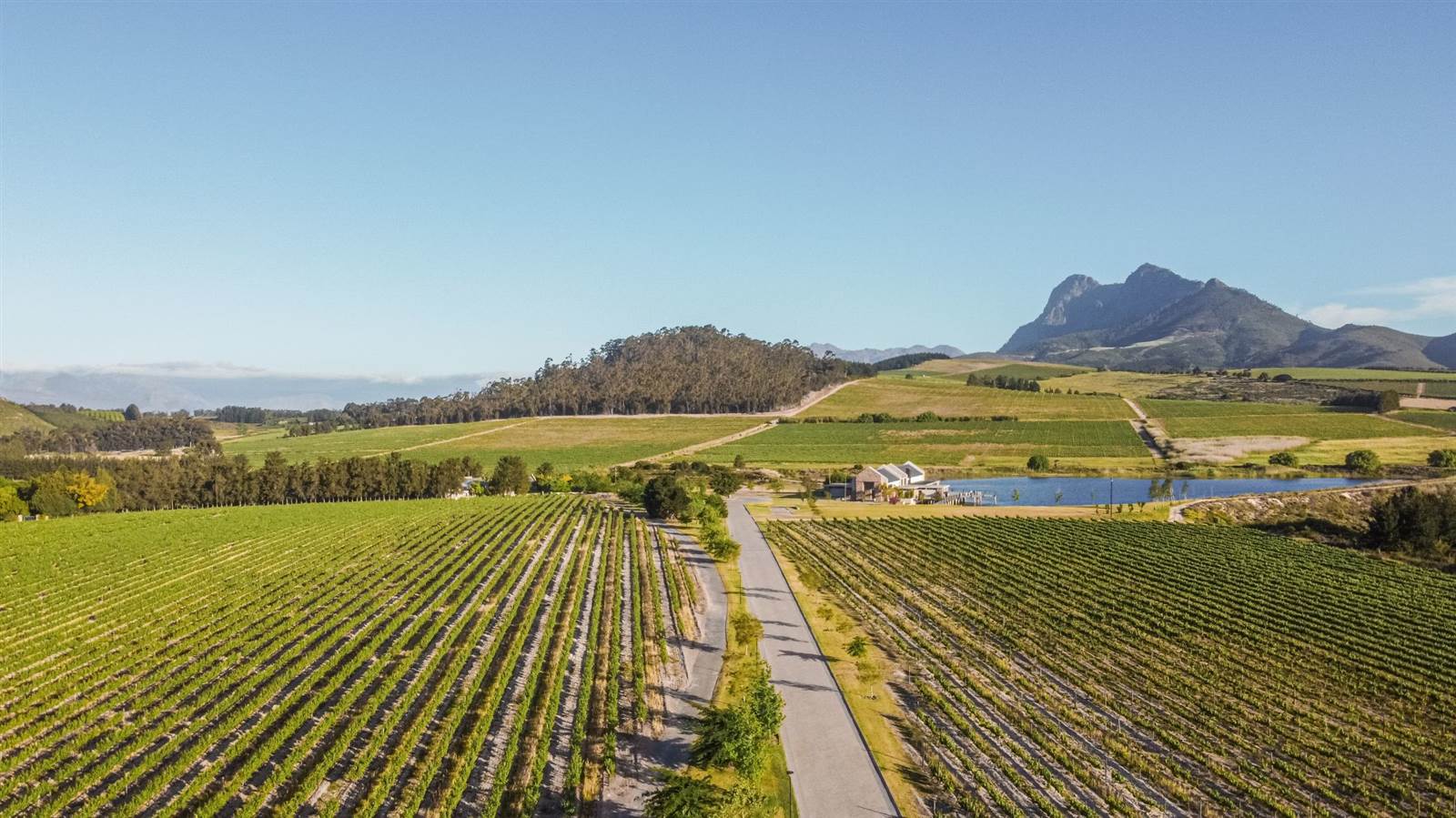 1132 m² Land available in Stellenbosch Central photo number 3