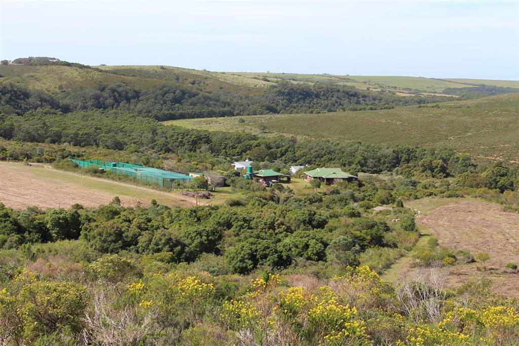 37 ha Farm in Humansdorp photo number 3