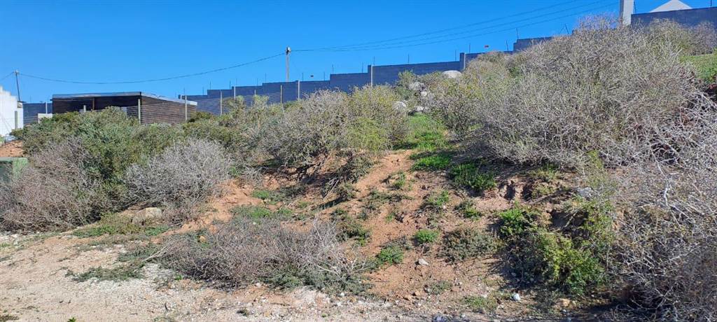 903 m² Land available in Saldanha photo number 2