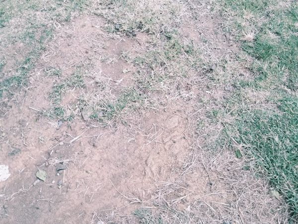 293 m² Land 293 m² Land