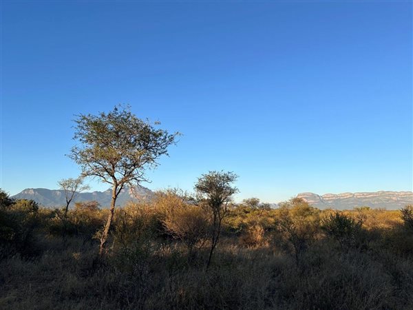 1 ha Land available in Hoedspruit