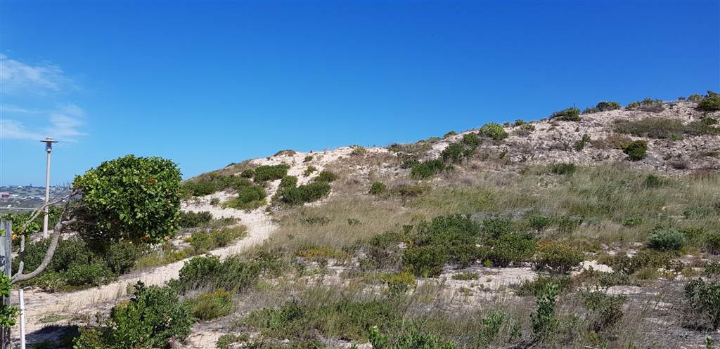 444 m² Land available in Stilbaai photo number 8