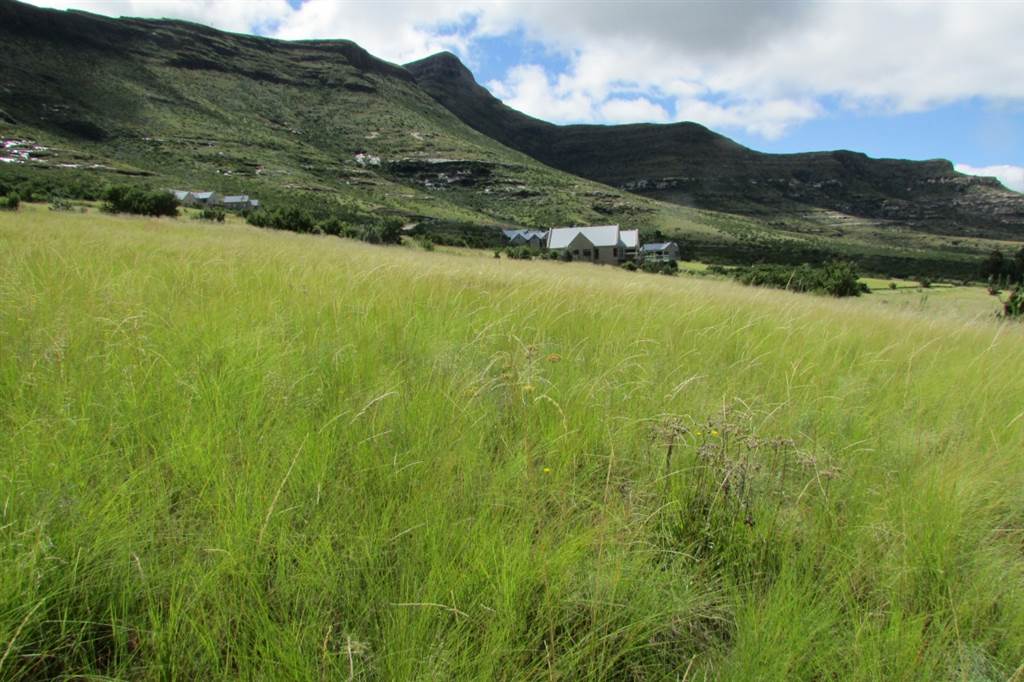 2072 m² Land available in Clarens photo number 2