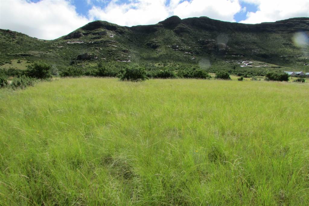 2072 m² Land available in Clarens photo number 10