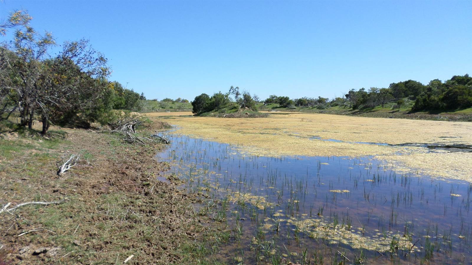46.8 ha Farm in Duynefontein photo number 15