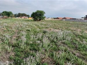 1082 m² Land available in Riversdale