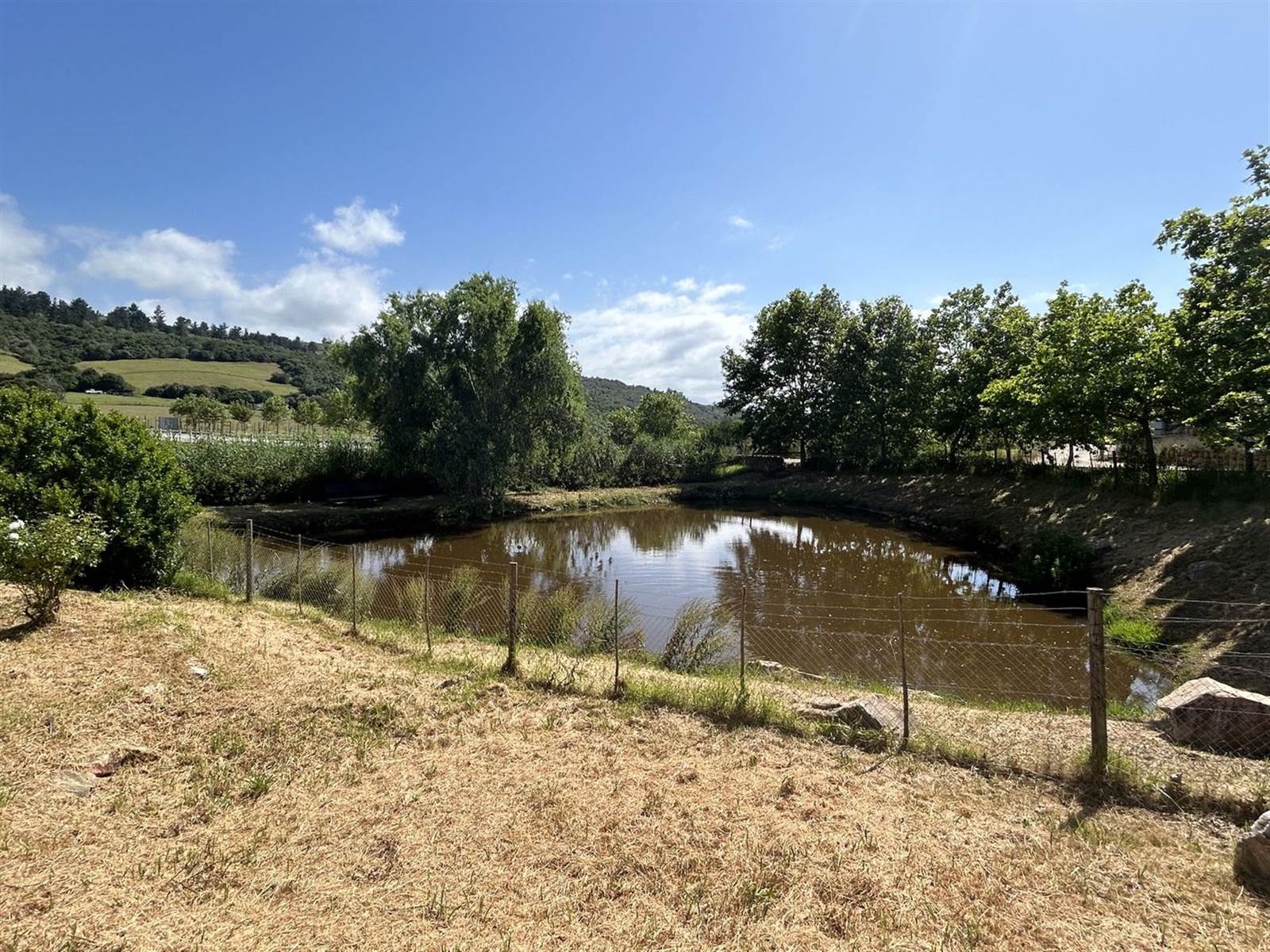 34.9 ha Farm with House in Plettenberg Bay Rural photo number 17