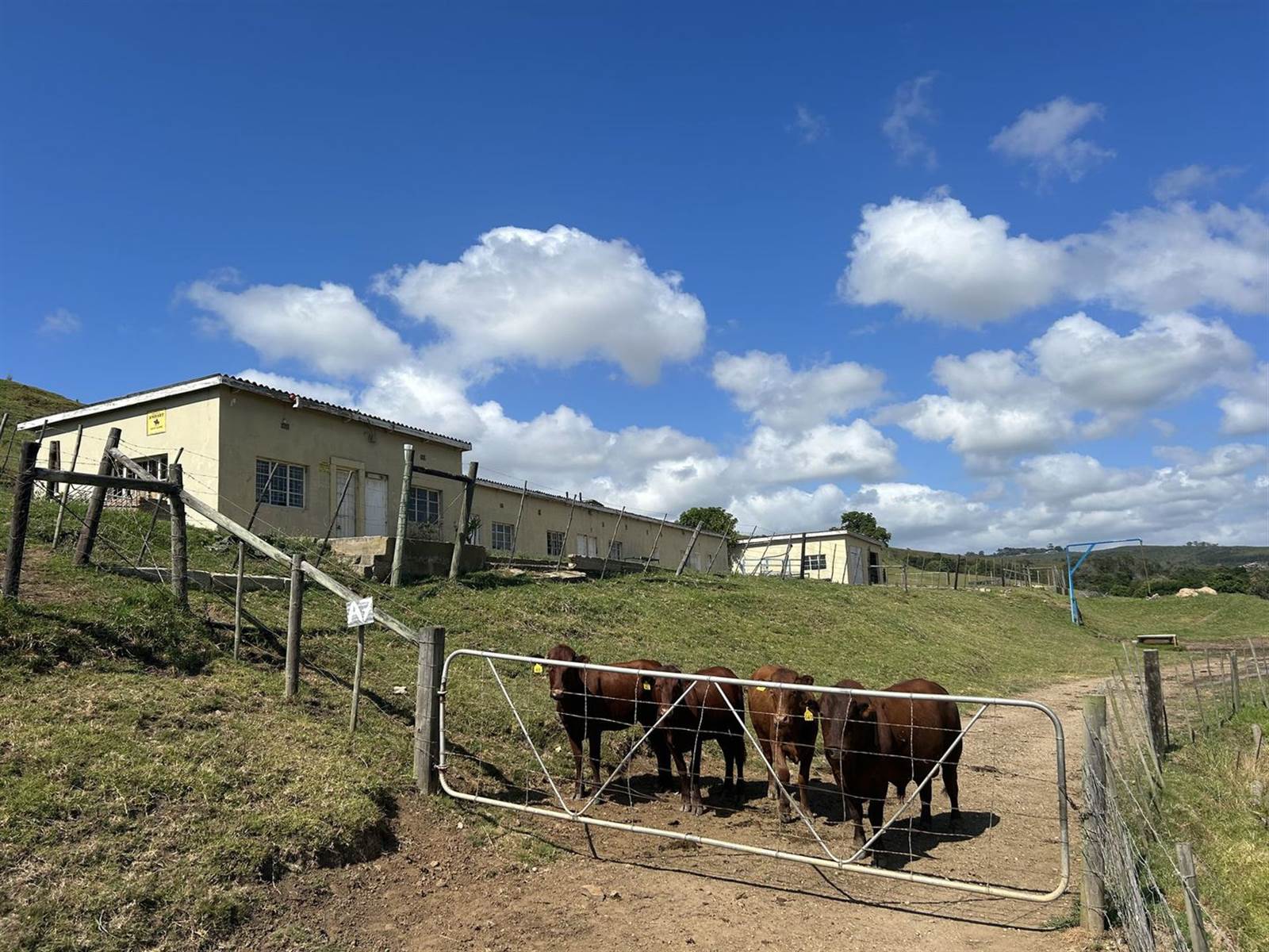34.9 ha Farm with House in Plettenberg Bay Rural photo number 21
