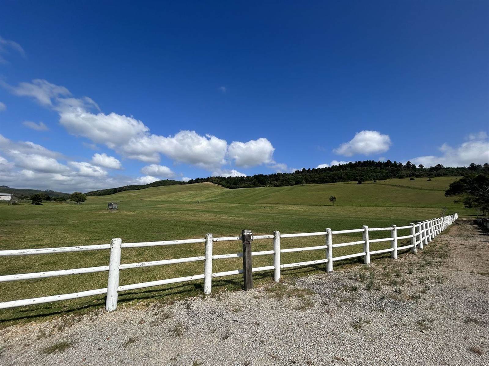 34.9 ha Farm with House in Plettenberg Bay Rural photo number 6