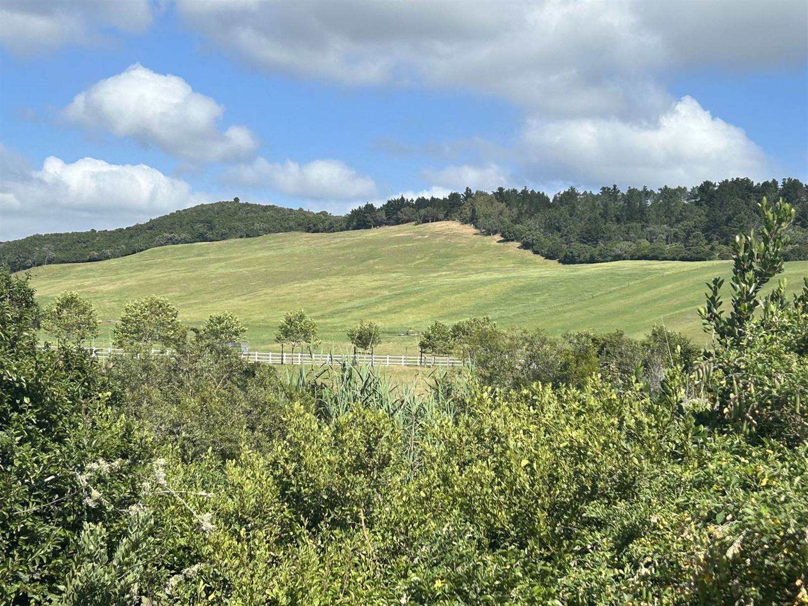 34.9 ha Farm with House in Plettenberg Bay Rural photo number 7