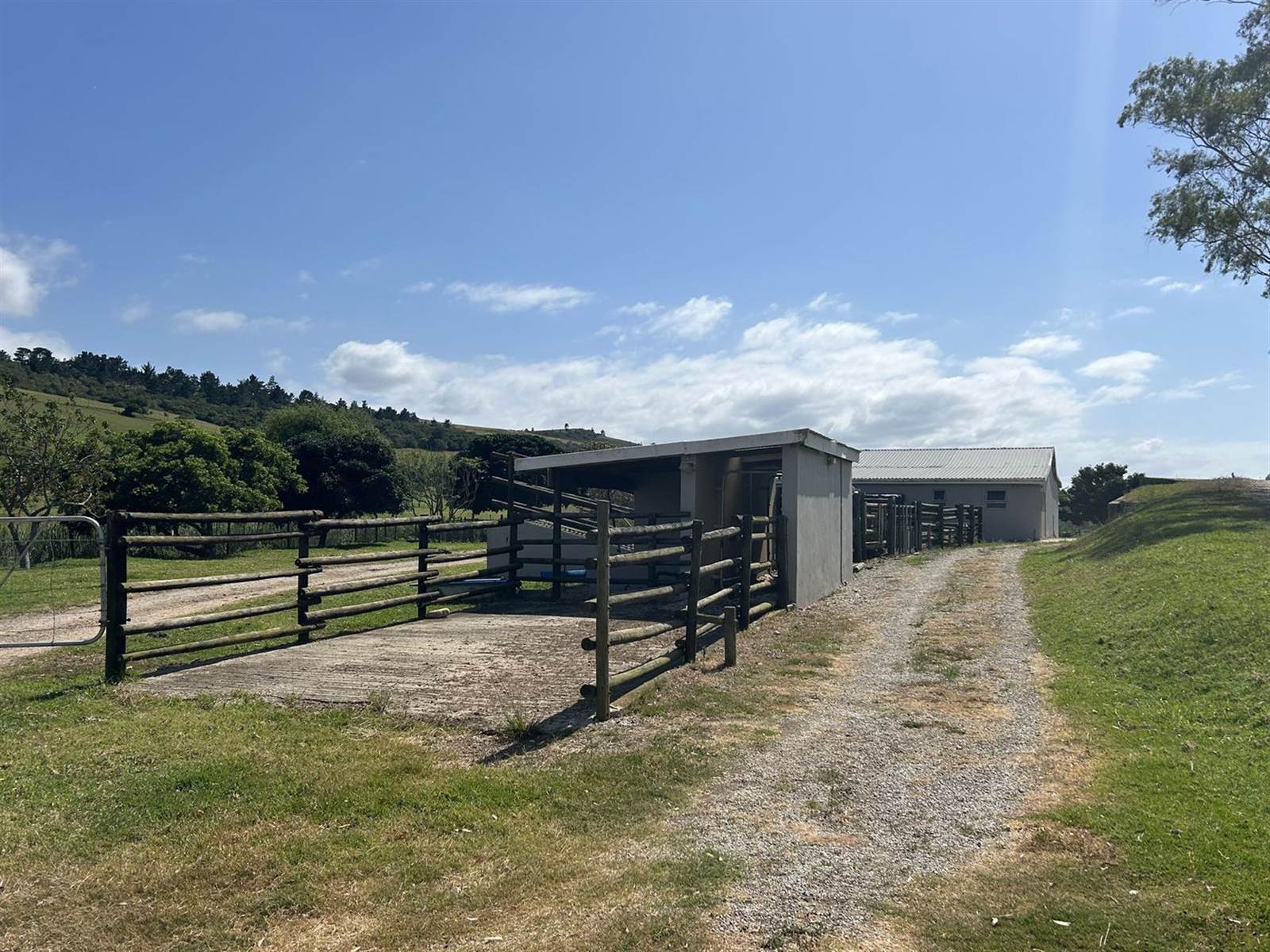 34.9 ha Farm with House in Plettenberg Bay Rural photo number 25