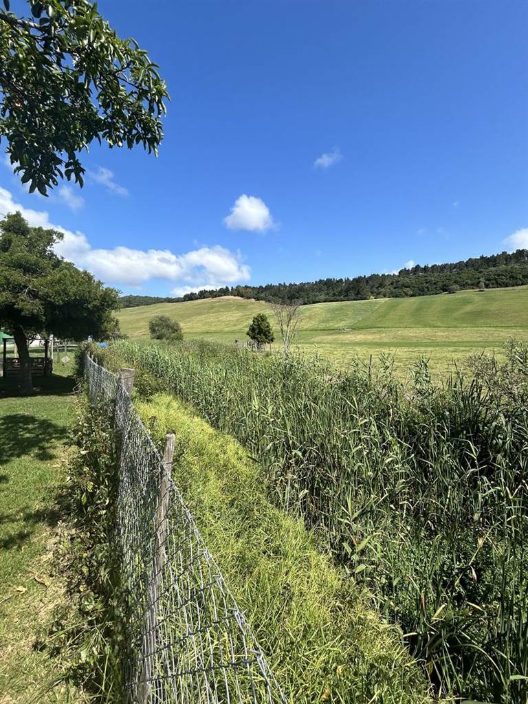 34.9 ha Farm with House in Plettenberg Bay Rural photo number 5