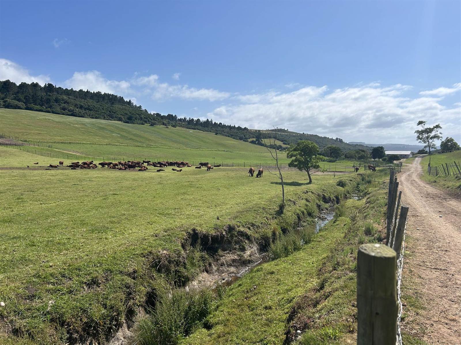 34.9 ha Farm with House in Plettenberg Bay Rural photo number 20