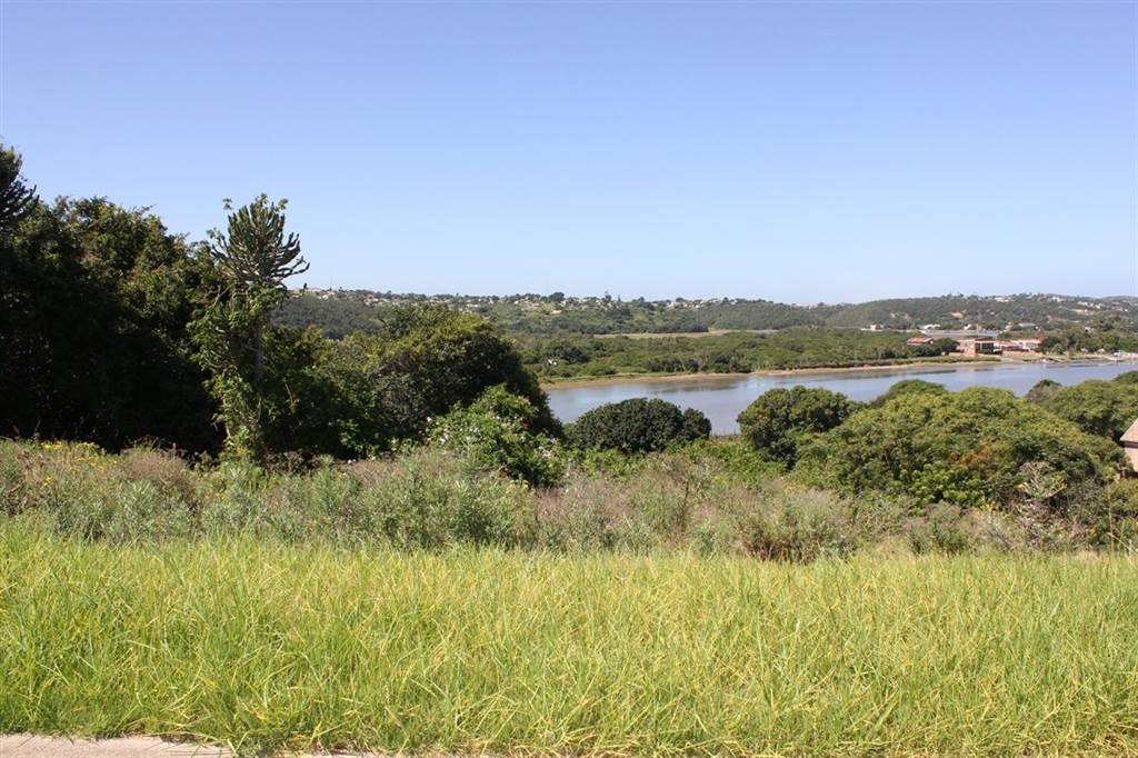 1500 m² Land available in Port Alfred photo number 5