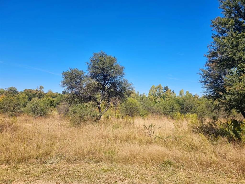 778 m² Land available in Parys Golf Estate photo number 3