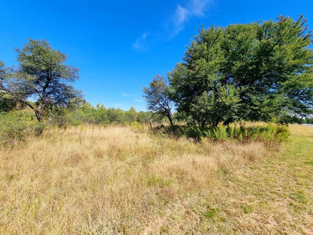 778 m² Land available in Parys Golf Estate photo number 2