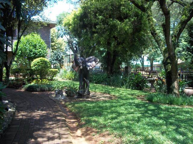 650  m² Commercial space in Sabie photo number 4