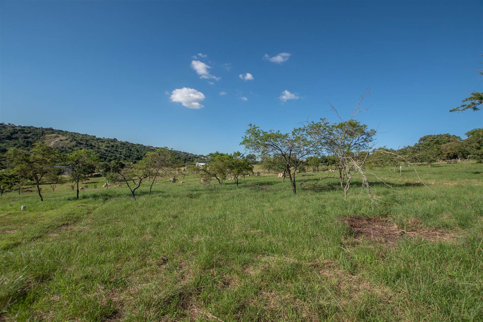 939 m² Land available in The Rest Nature Estate photo number 6