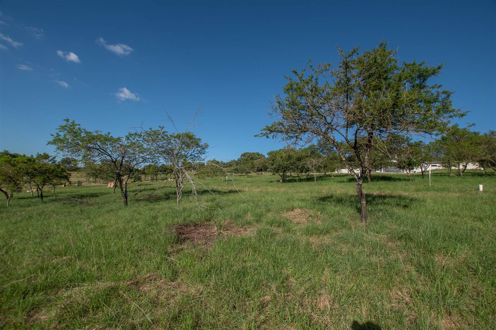 939 m² Land available in The Rest Nature Estate photo number 2