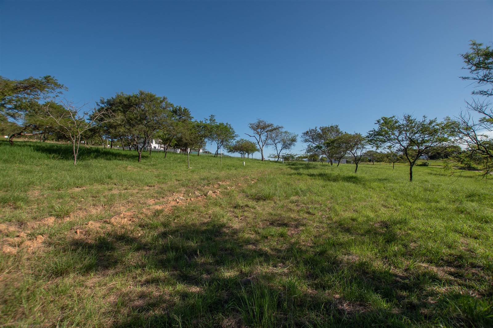 939 m² Land available in The Rest Nature Estate photo number 12