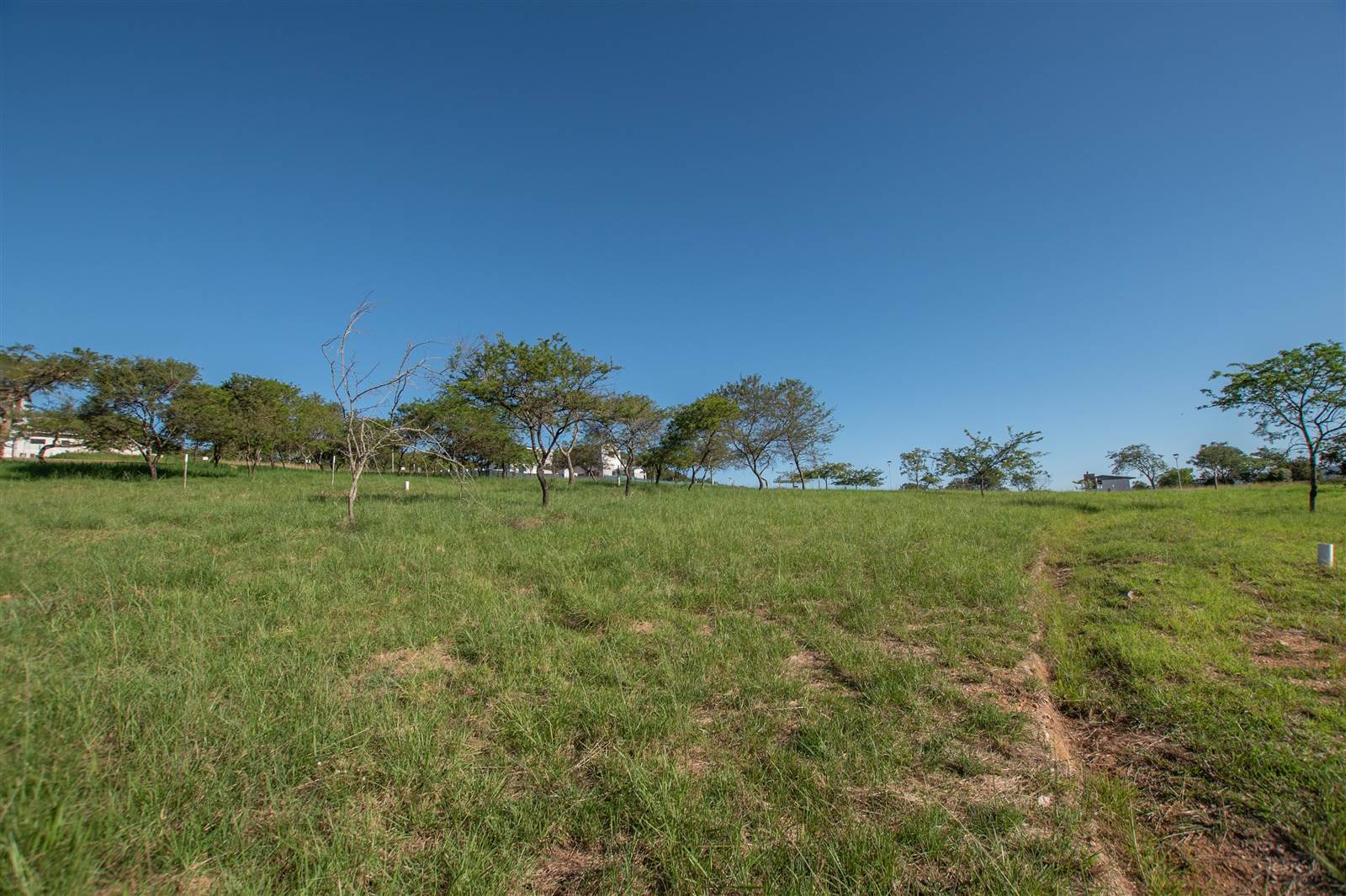 939 m² Land available in The Rest Nature Estate photo number 13