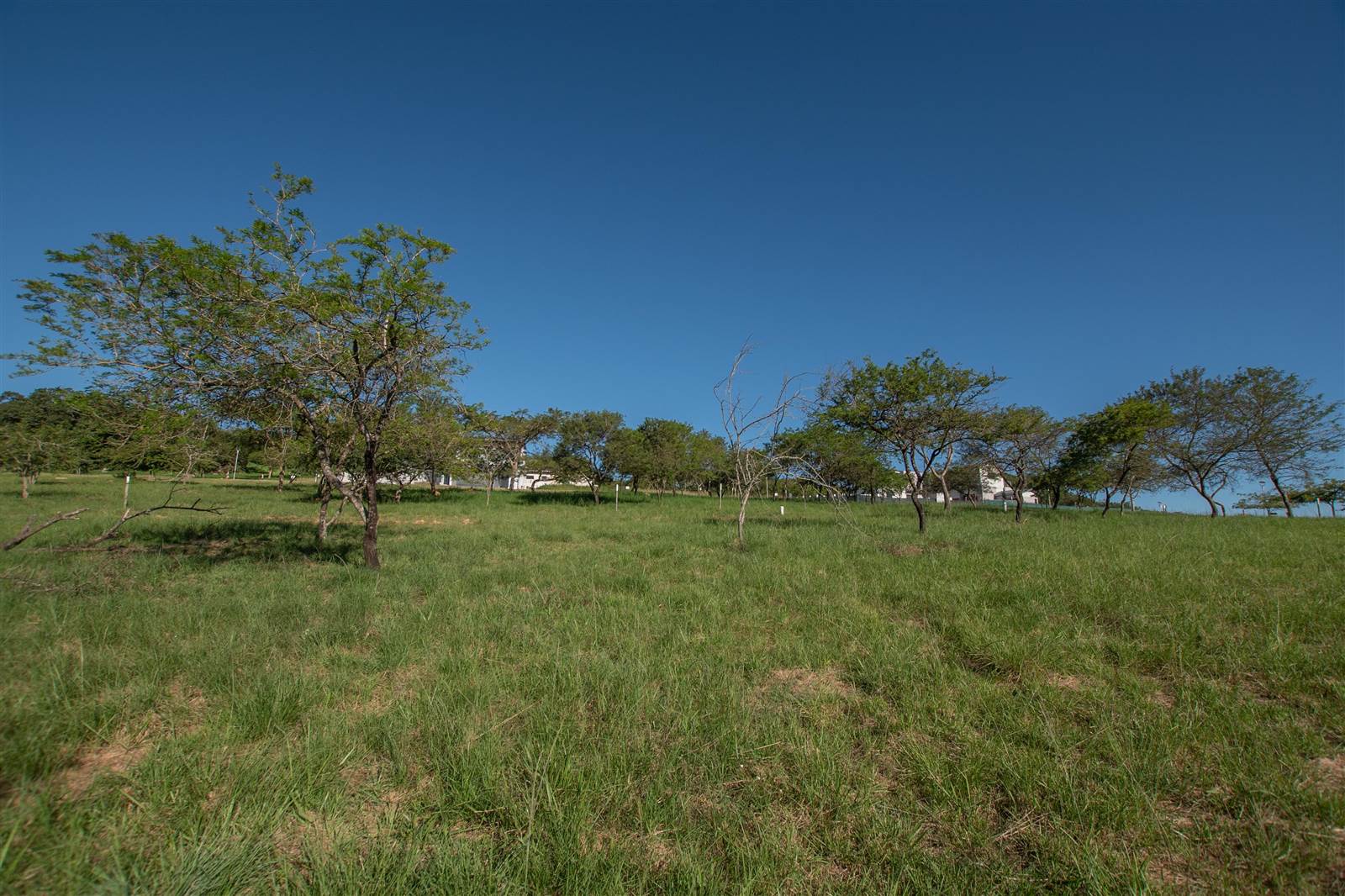 939 m² Land available in The Rest Nature Estate photo number 14