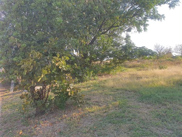 1837 m² Land available in Steyn City