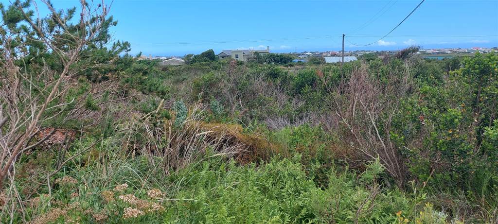 878 m² Land available in Bettys Bay photo number 5