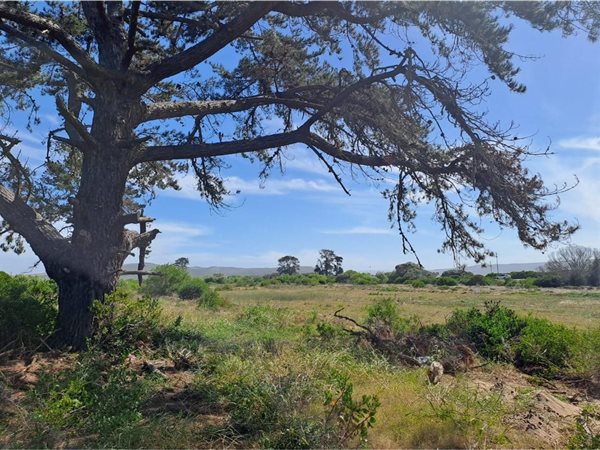 737 m² Land available in Klein Brak River