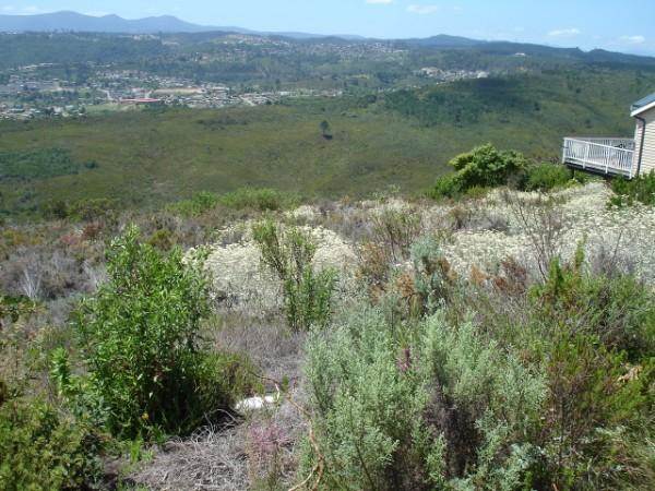 1034 m² Land available in Pezula Golf Estate photo number 3