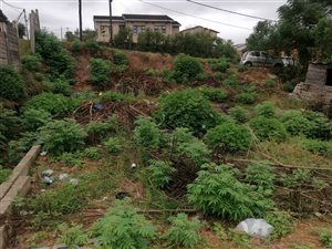 119 m² Land available in Welbedacht