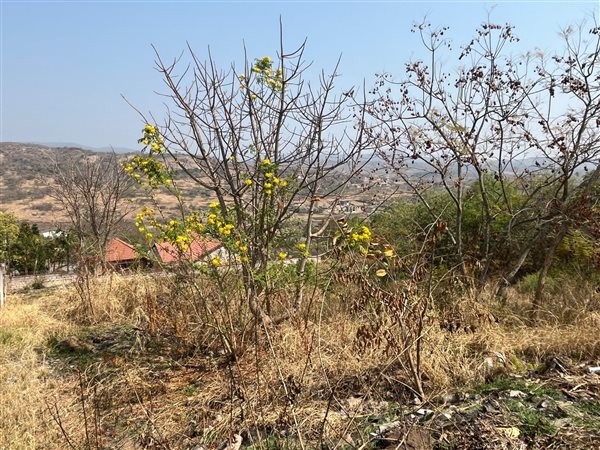 998 m² Land 998 m² Land