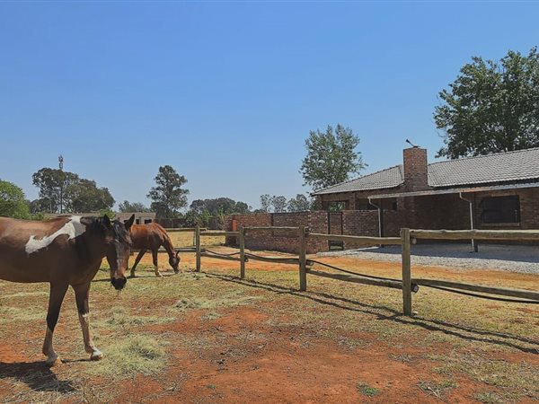 3 Bed Garden Cottage