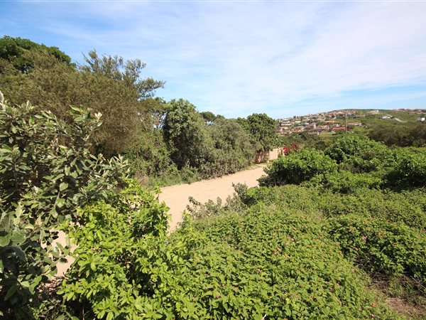 859 m² Land available in Port Alfred