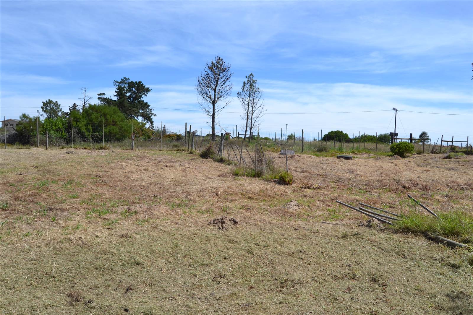 2241 m² Land available in Albertinia photo number 7