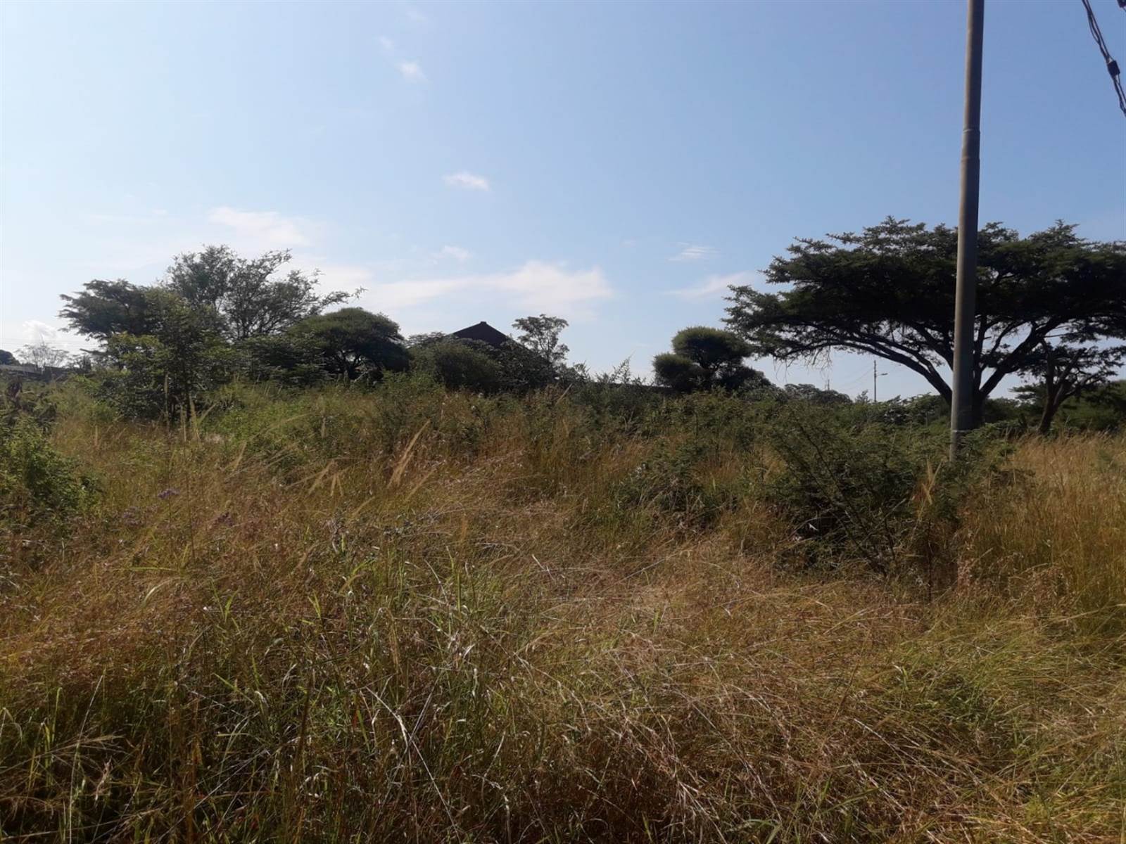 2271 m² Land available in Elti Villas photo number 3