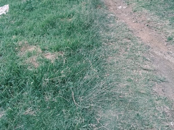 300 m² Land 300 m² Land