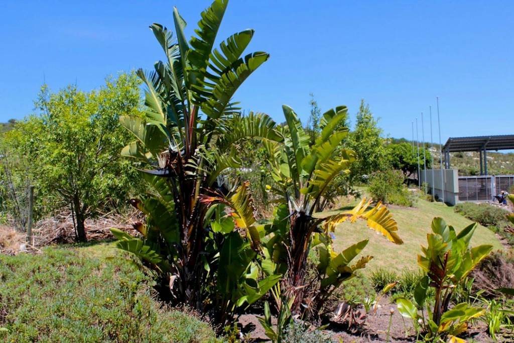 1473 m² Land available in Fernwood photo number 3