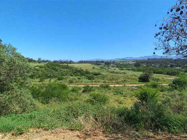 1775 m² Land available in Heidelberg