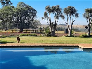10 ha Farm in Manderston