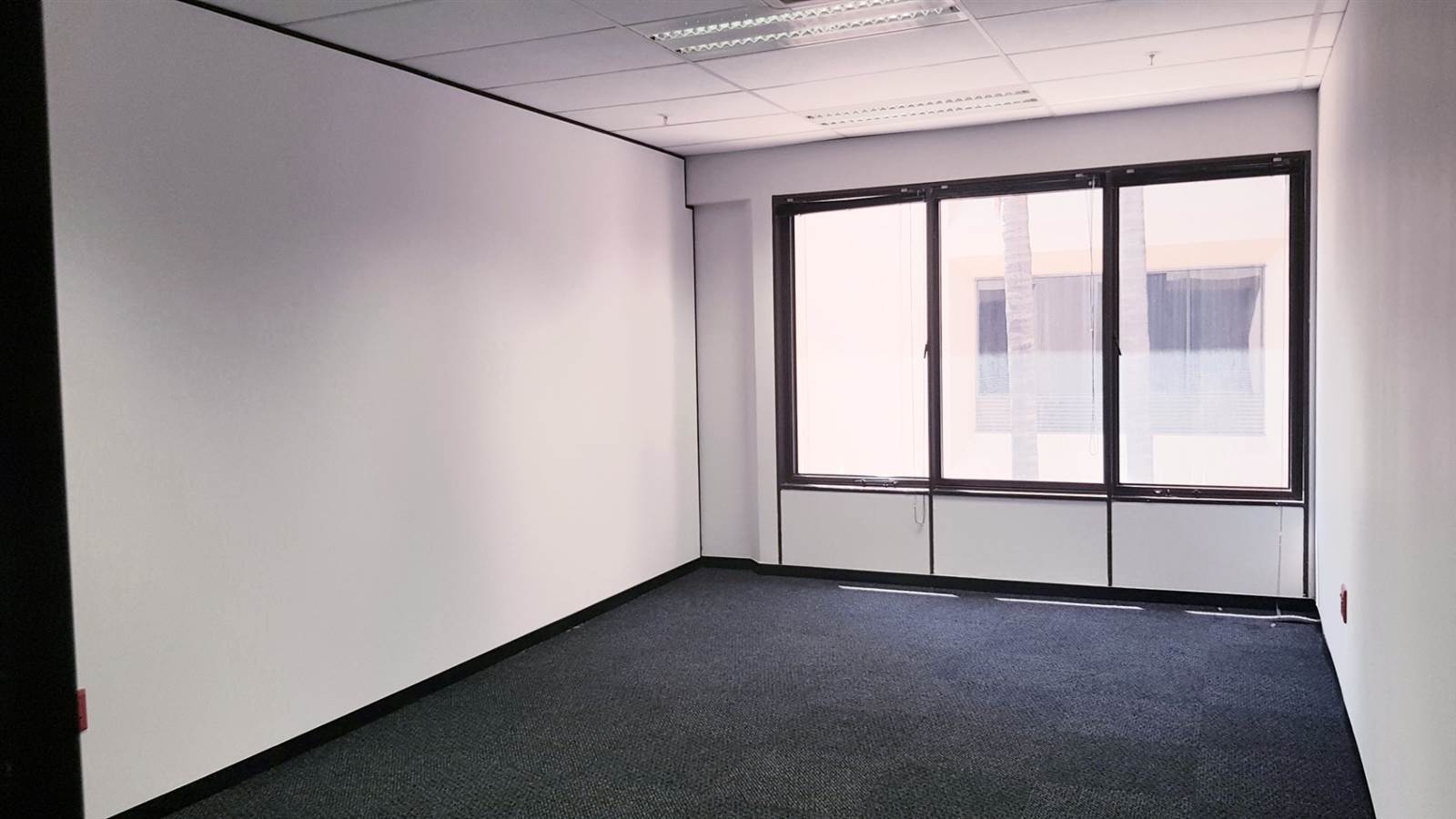 168  m² Office Space in Parktown photo number 6