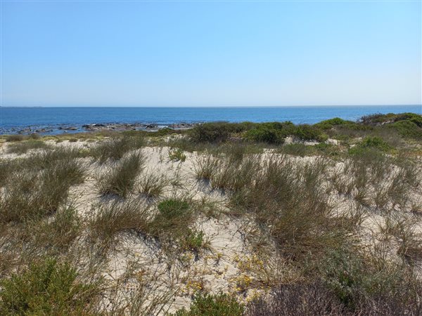 1110 m² Land available in Shelley Point