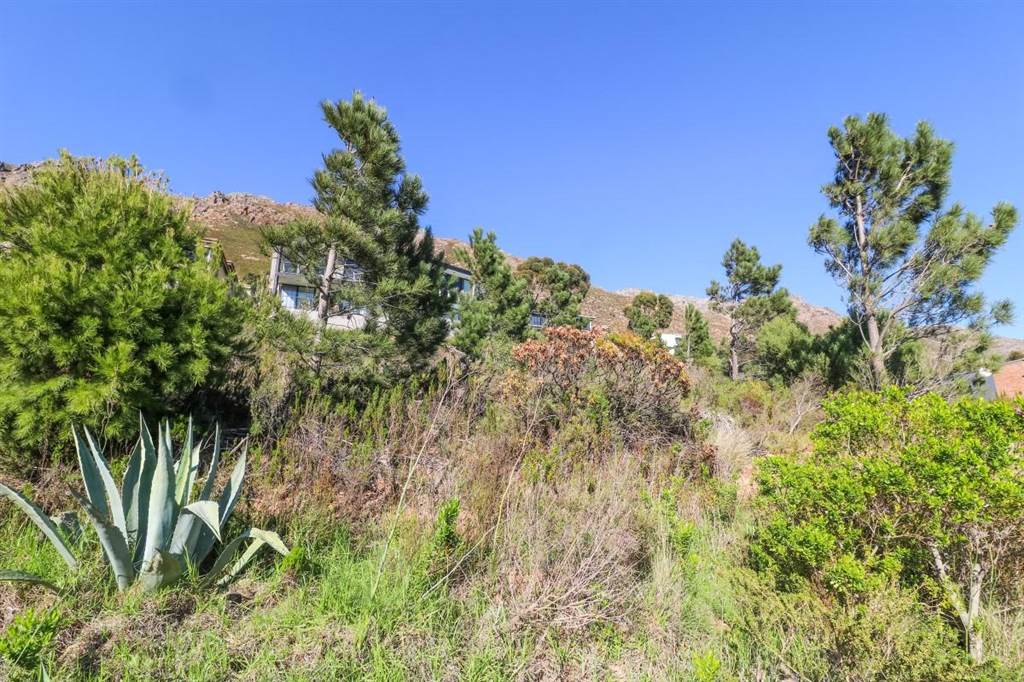 870 m² Land available in Gordons Bay Central photo number 12