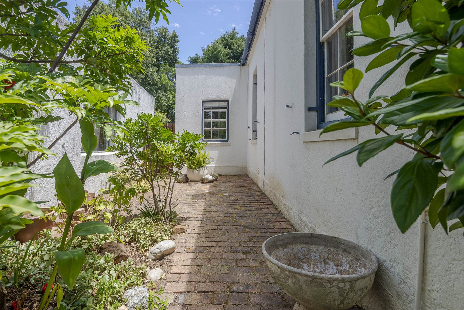 4 Bed House in Rondebosch photo number 23