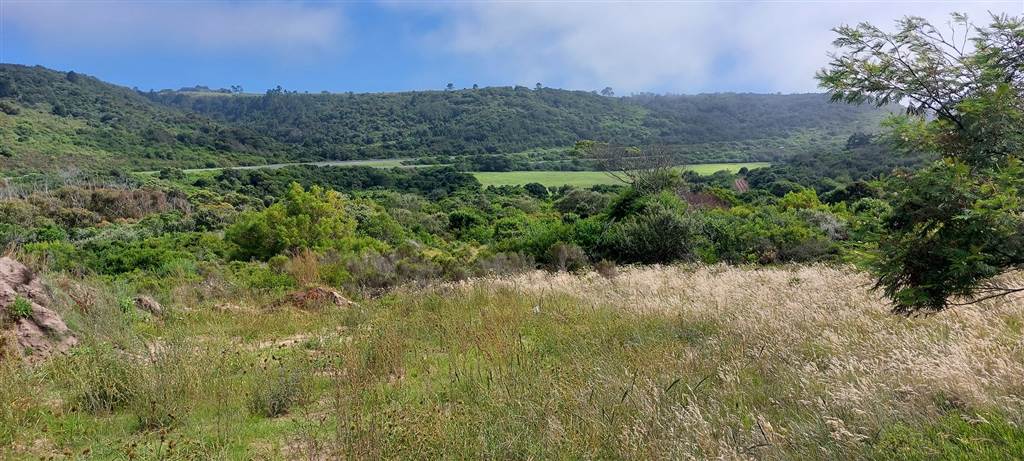 637 m² Land available in Pienaarstrand photo number 10