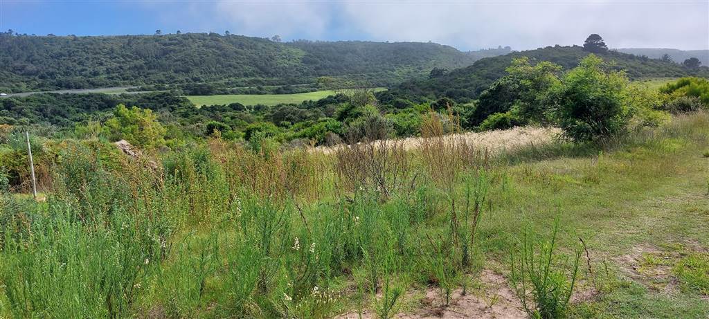 637 m² Land available in Pienaarstrand photo number 12