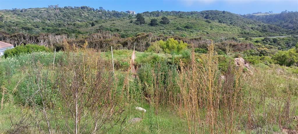 637 m² Land available in Pienaarstrand photo number 7